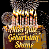 A chocolate birthday cake with glowing candles, the German text 'Alles Gute zum Geburtstag Shane,' and vibrant fireworks lighting up the background in an animated GIF.
