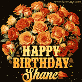 Animated bouquet of orange roses with moving butterfles and golden 'Happy Birthday Shane' text, surrounded by sparkling accents and a dark backdrop for a luxurious feel.