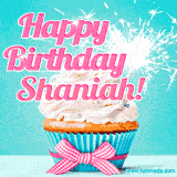 A festive cupcake with pink icing, a gingham bow, and a lit animated sparkler, paired with 'Happy Birthday Shaniah!' in bright pink text.