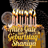 A chocolate birthday cake with glowing candles, the German text 'Alles Gute zum Geburtstag Shaniya,' and vibrant fireworks lighting up the background in an animated GIF.