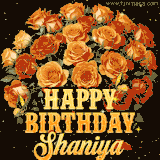 Animated bouquet of orange roses with moving butterfles and golden 'Happy Birthday Shaniya' text, surrounded by sparkling accents and a dark backdrop for a luxurious feel.