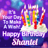 A colorful birthday GIF for Shantel featuring a cupcake with vibrant lit candles and the text 'It's Your Day to Make a Wish! Happy Birthday Shantel' in bold letters on a festive purple background.