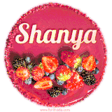 Beautifully decorated red velvet berry birthday cake with vibrant fruits and a glowing 'Shanya' name, adding a touch of sweetness and sparkle.