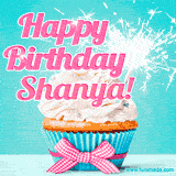 A festive cupcake with pink icing, a gingham bow, and a lit animated sparkler, paired with 'Happy Birthday Shanya!' in bright pink text.