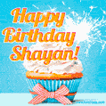 Happy Birthday, Shayan! Elegant cupcake with a sparkler.