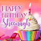 A vibrant birthday GIF featuring a rainbow-colored cupcake topped with white frosting, sprinkles, and a lit candle. The text reads 'Happy Birthday Sheenagh' in bold pink and violet letters with white outline.