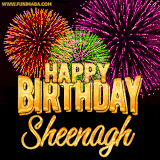 A golden 'Happy Birthday Sheenagh' message with vibrant fireworks in the background, creating a festive and celebratory vibe in this animated name GIF.