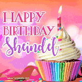 A vibrant birthday GIF featuring a rainbow-colored cupcake topped with white frosting, sprinkles, and a lit candle. The text reads 'Happy Birthday Sheindel' in bold pink and violet letters with white outline.