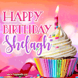 A vibrant birthday GIF featuring a rainbow-colored cupcake topped with white frosting, sprinkles, and a lit candle. The text reads 'Happy Birthday Shelagh' in bold pink and violet letters with white outline.