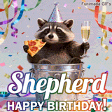 Animated birthday card personalized for Shepherd. The lovable trash panda toasts with pizza and a drink, celebrating amidst colorful confetti and streamers.