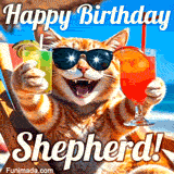 A cheerful cat wearing sunglasses, enjoying drinks on a sunny beach chair, with the text 'Happy Birthday Shepherd!' in bright letters.