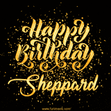 Animated GIF with colorful, festive 'Happy Birthday Sheppard' text decorated with patterns, a party hat, and falling confetti. A vibrant and cheerful design for birthday celebrations.