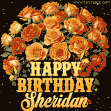 Animated bouquet of orange roses with moving butterfles and golden 'Happy Birthday Sheridan' text, surrounded by sparkling accents and a dark backdrop for a luxurious feel.