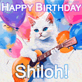 Animated GIF featuring a charming white cat with bright blue eyes strumming a guitar while colorful balloons float in the background, with 'Happy Birthday Shiloh!' text.