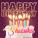 A colorful birthday cake topped with lit candles, with the words 'Happy Birthday Shizuka' in bold glowing letters on a burgundy background. Animated flames add a festive touch.