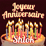 A Happy Birthday GIF in French featuring a festive birthday cake adorned with bright candles and the glowing text 'Joyeux Anniversaire Shlok' in a cheerful style.