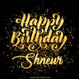 Animated GIF with colorful, festive 'Happy Birthday Shneur' text decorated with patterns, a party hat, and falling confetti. A vibrant and cheerful design for birthday celebrations.