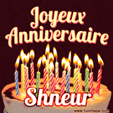 A Happy Birthday GIF in French featuring a festive birthday cake adorned with bright candles and the glowing text 'Joyeux Anniversaire Shneur' in a cheerful style.