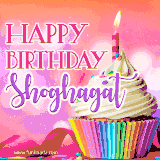 A vibrant birthday GIF featuring a rainbow-colored cupcake topped with white frosting, sprinkles, and a lit candle. The text reads 'Happy Birthday Shoghagat' in bold pink and violet letters with white outline.