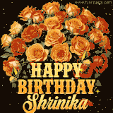 Animated bouquet of orange roses with moving butterfles and golden 'Happy Birthday Shrinika' text, surrounded by sparkling accents and a dark backdrop for a luxurious feel.