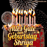 A chocolate birthday cake with glowing candles, the German text 'Alles Gute zum Geburtstag Shriya,' and vibrant fireworks lighting up the background in an animated GIF.