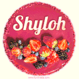 Beautifully decorated red velvet berry birthday cake with vibrant fruits and a glowing 'Shyloh' name, adding a touch of sweetness and sparkle.