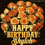 Animated bouquet of orange roses with moving butterfles and golden 'Happy Birthday Shyloh' text, surrounded by sparkling accents and a dark backdrop for a luxurious feel.