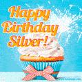 Happy Birthday, Silver! Elegant cupcake with a sparkler.