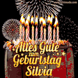 A chocolate birthday cake with glowing candles, the German text 'Alles Gute zum Geburtstag Silvia,' and vibrant fireworks lighting up the background in an animated GIF.