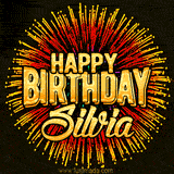 Golden 'Happy Birthday Silvia' text accompanied by animated rainbow fireworks for a festive animated greeting.
