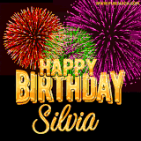 A golden 'Happy Birthday Silvia' message with vibrant fireworks in the background, creating a festive and celebratory vibe in this animated name GIF.