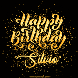 Animated GIF with colorful, festive 'Happy Birthday Silvio' text decorated with patterns, a party hat, and falling confetti. A vibrant and cheerful design for birthday celebrations.