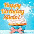 A cheerful animated GIF of a cupcake with creamy frosting, a red checkered ribbon, and a bright sparkler on top. The text 'Happy Birthday Silvio!' is displayed in vibrant orange and red.