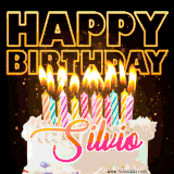 A vibrant animated GIF featuring a delicious birthday cake topped with glowing candles and the name 'Silvio' in elegant script, and the words 'Happy Birthday' on the black background.