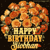 Animated bouquet of orange roses with moving butterfles and golden 'Happy Birthday Siobhan' text, surrounded by sparkling accents and a dark backdrop for a luxurious feel.
