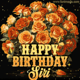 Animated bouquet of orange roses with moving butterfles and golden 'Happy Birthday Siri' text, surrounded by sparkling accents and a dark backdrop for a luxurious feel.