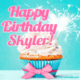 A festive cupcake with pink icing, a gingham bow, and a lit animated sparkler, paired with 'Happy Birthday Skyler!' in bright pink text.