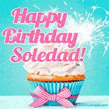 A festive cupcake with pink icing, a gingham bow, and a lit animated sparkler, paired with 'Happy Birthday Soledad!' in bright pink text.