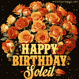 Animated bouquet of orange roses with moving butterfles and golden 'Happy Birthday Soleil' text, surrounded by sparkling accents and a dark backdrop for a luxurious feel.