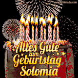 A chocolate birthday cake with glowing candles, the German text 'Alles Gute zum Geburtstag Solomia,' and vibrant fireworks lighting up the background in an animated GIF.