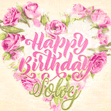 A stunning heart made of pink roses surrounds the elegant script text 'Happy Birthday Solvej' on a soft beige background. Animated sparkles add a magical and festive feel.