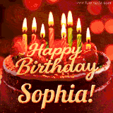 Beautifully decorated red velvet berry birthday cake with vibrant fruits and a glowing 'Sophia' name, adding a touch of sweetness and sparkle.
