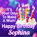 It's Your Day To Make A Wish! Happy Birthday Sophina!