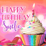 A vibrant birthday GIF featuring a rainbow-colored cupcake topped with white frosting, sprinkles, and a lit candle. The text reads 'Happy Birthday Suelo' in bold pink and violet letters with white outline.