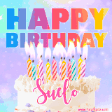 A vibrant animated name GIF with the words 'Happy Birthday Suelo' with colorful candles on a creamy cake. The background sparkles with pastel shades, adding a festive touch.