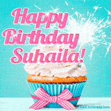 A festive cupcake with pink icing, a gingham bow, and a lit animated sparkler, paired with 'Happy Birthday Suhaila!' in bright pink text.