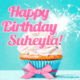 A festive cupcake with pink icing, a gingham bow, and a lit animated sparkler, paired with 'Happy Birthday Suheyla!' in bright pink text.