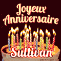 Joyeux anniversaire Sullivan GIF