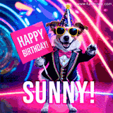 Animated GIF of a cool dog wearing a suit and sunglasses, holding a 'Happy Birthday' sign for Sunny, set against a bright and colorful neon party background.
