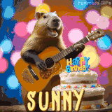 Animated birthday GIF showing a capybara playing guitar and singing beside a birthday cake with the name Sunny in large letters and colorful bokeh lights in the background.